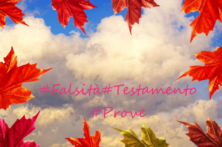 Quando è possibile provare la Falsità del Testamento mediante Testimoni?