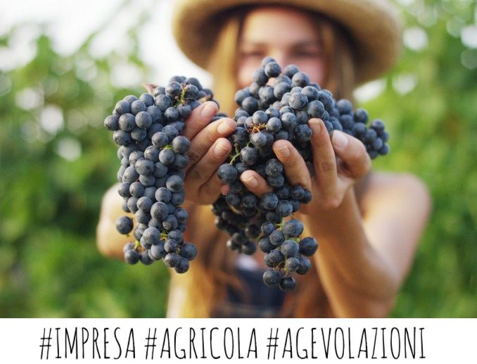 IMPRESE E SVILUPPO - AGEVOLAZIONI PER IL 2020: Mutuo a tasso zero in favore dell'imprenditoria femminile in agricoltura.